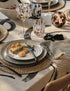 12 Piece Michigan Dinner Set